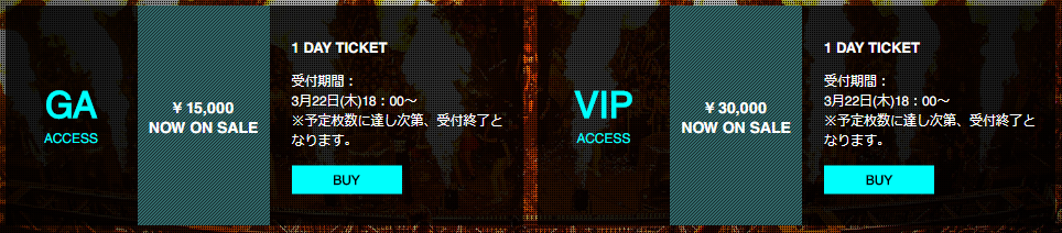 Ultra Japan チケットの種類 Ga と Vip は何が違う うさぎエンジニアの部屋